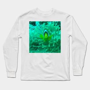 Greetings from Clownfish Long Sleeve T-Shirt